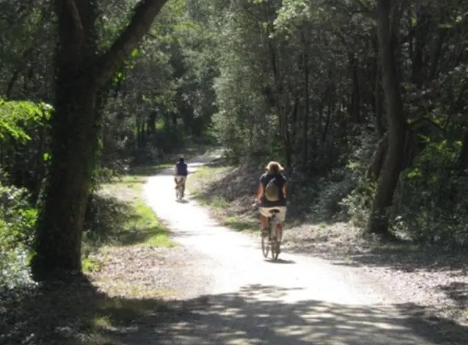 Tatil Evi 90m Near The Surf Of *